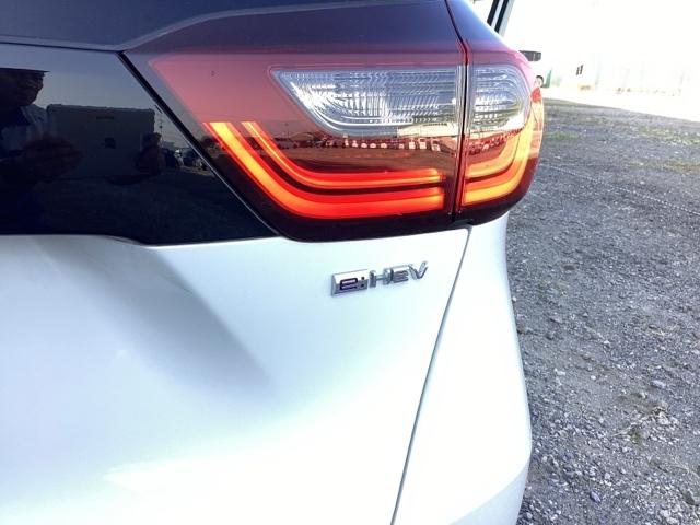 ���F�g�d�u�i�O���[�h�j�̃G���u�����ł��B