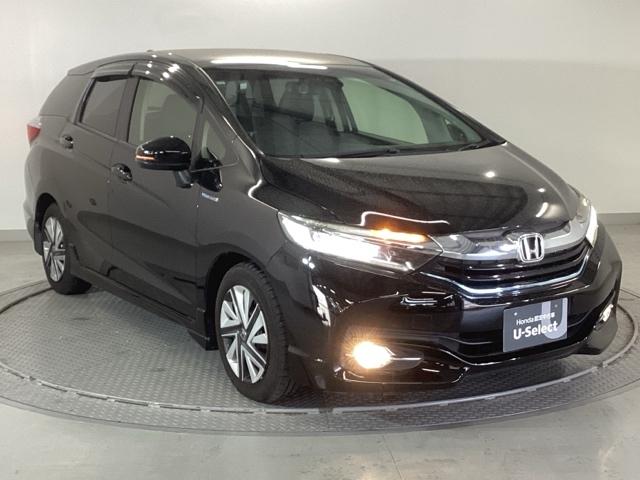 �����̂悤���Y��ɃN���[�j���O����Ă���A�ƂĂ��L���C�ȃ{�f�B�ł���B�O���͂������������Y��ł��B