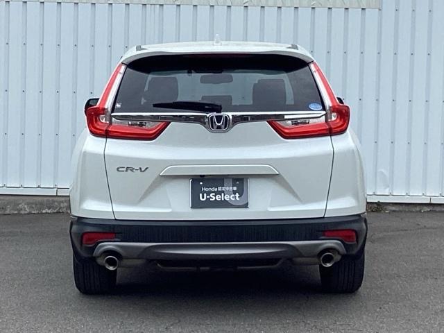 ������Ѓz���_���r���e�B��B�́A������葹�ۂR�Ђ̑��Q�ی����i����H���q�l�̃j�[�Y�ɍ������ی�������Ă������܂��B