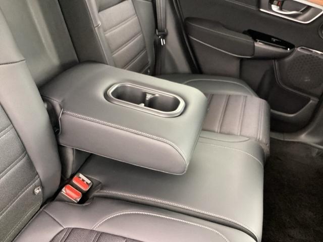 ���A�V�[�g�A�[�����X�g�@�J�b�v�z���_�[