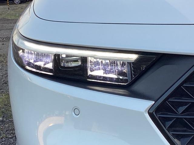 �k�d�c�w�b�h���C�g�i�E���j�ł�