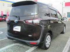 ������ �ϥ��֥�åɣǡ�����������󥻥������꡼�ʥӡ��Хå������ 0803625A20260208T002 5