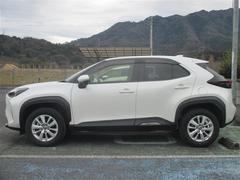 ��ꥹ������ �ǡ��ߥ塼���å��ץ쥤�䡼��³�ġ��Хå�����顡�����ﳲ�ڸ������ƥࡡ�ţԣ� 0803625A20260210T001 3