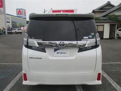 ������ե����� �������ڡ��ǥ��ǥ�����󡡳ץ����ȡ�����롼�ա��ե륻�� 0803625A20260413T002 4