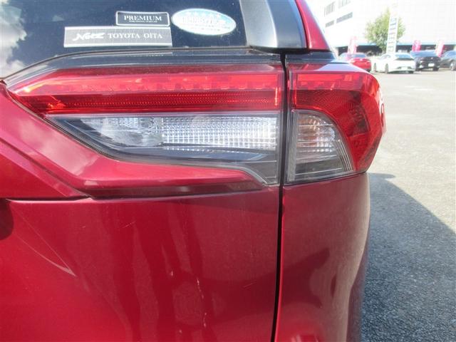 ＲＡＶ４ Ｘ　フルセグ　メモリーナビ　ＤＶＤ再生　バックカメラ　衝突被害軽減システム　ＥＴＣ　ドラレコ　ＬＥＤヘッドランプ　ワンオーナー　記録簿（30枚目）