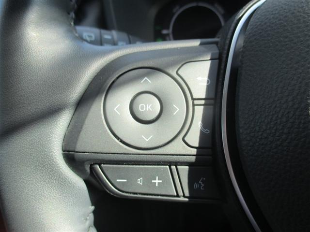 ＲＡＶ４ ハイブリッドアドベンチャー　サンルーフ　４ＷＤ　ミュージックプレイヤー接続可　バックカメラ　衝突被害軽減システム　ＥＴＣ　ＬＥＤヘッドランプ　ワンオーナー　記録簿（16枚目）