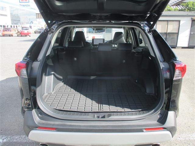 ＲＡＶ４ ハイブリッドアドベンチャー　サンルーフ　４ＷＤ　ミュージックプレイヤー接続可　バックカメラ　衝突被害軽減システム　ＥＴＣ　ＬＥＤヘッドランプ　ワンオーナー　記録簿（29枚目）