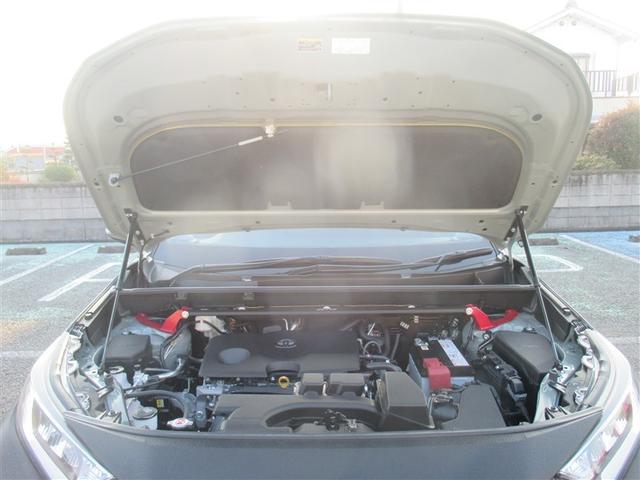 ＲＡＶ４ アドベンチャー　オフロードパッケージＩＩ　４ＷＤ　ミュージックプレイヤー接続可　バックカメラ　衝突被害軽減システム　ＥＴＣ　ＬＥＤヘッドランプ　ワンオーナー　記録簿（40枚目）