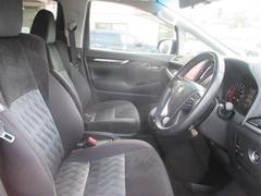 ե ڡե륻꡼ʥӡģ֣ĺʥ˥ 0803626A20250531T001 7