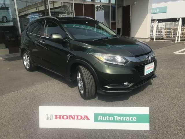 ハイブリッドX(3枚目)