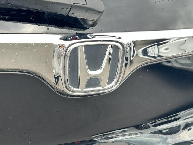 ＣＲ－Ｖ ＥＸ・マスターピース　純正ナビ　ＥＴＣ２．０　ドラレコ　ガラスルーフ　ブラインドスポットインフォメーション　電動シート　記録簿　禁煙車　Ｓルーフ　ワンオーナー車　セキュリティーアラーム　ターボ　ＤＶＤ再生可　フルセグテレビ（64枚目）