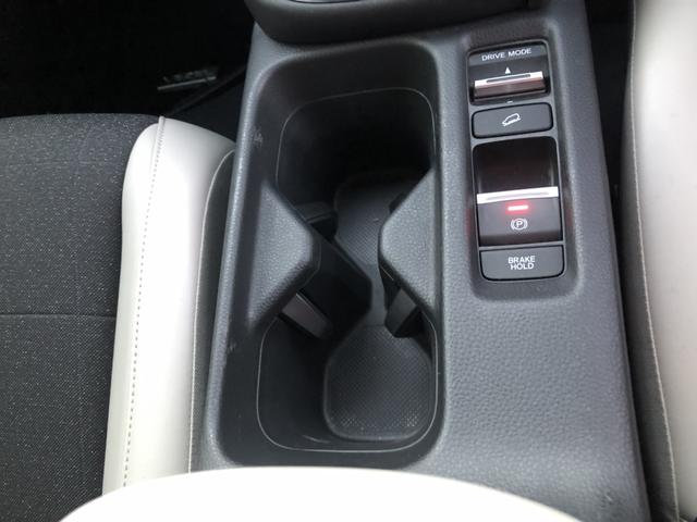 �y�h�����N�z���_�[�z������Ƀh�����N�z���_�[�����Ă��܂��I