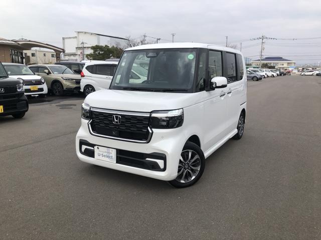 �y�ԑ̎ʐ^�z�{�f�B�J���[�́A�v���`�i�z���C�g�p�[���ł��I