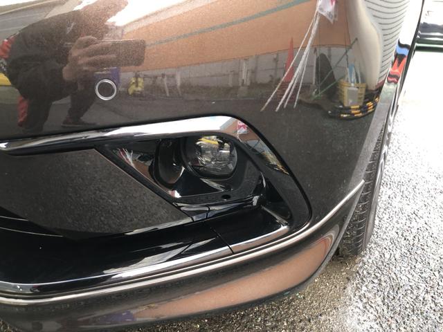 �y�t�H�O���C�g�z�����Ȃǂ̈��V�󎞂ɁA���H�̎��E���m�ۂ��邽�߂ɓ_������t�H�O���C�g�����Ă��܂��I