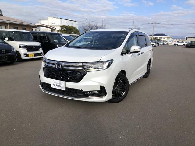 �y�ԑ̎ʐ^�z�{�f�B�J���[�́A�v���`�i�z���C�g�p�[���ł��I