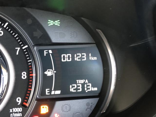 �y���s�����z���[�^�[�̋����́A���݂̑��s�����ɂȂ�܂��B