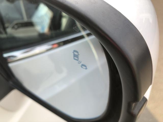 �y�u���C���h�X�|�b�g�C���t�H���[�V�����z���s���ɁA�΂ߌ��̎Ԃ����m����ƁA�h�A�~���[�̃}�[�N�_���ɂĂ��m�点���܂��B