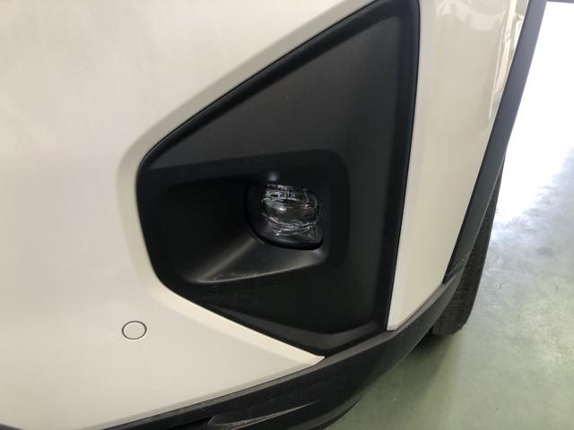 �y�t�H�O���C�g�z�����Ȃǂ̈��V�󎞂ɁA���H�̎��E���m�ۂ��邽�߂ɓ_������t�H�O���C�g�����Ă��܂��I