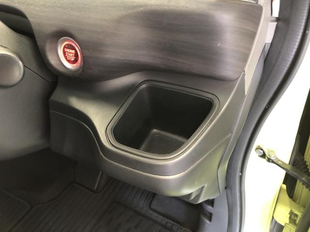 �y�h�����N�z���_�[�z������Ƀh�����N�z���_�[�����Ă��܂��I