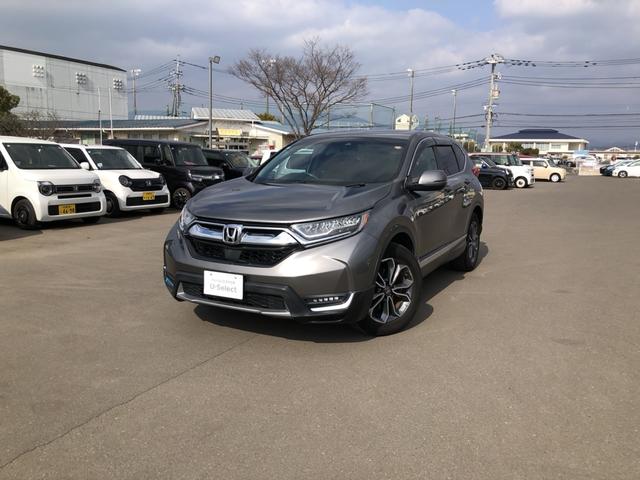 �y�ԑ̎ʐ^�z�{�f�B�J���[�́A�X�[�p�[�v���`�i�O���[���^���b�N�ł��I