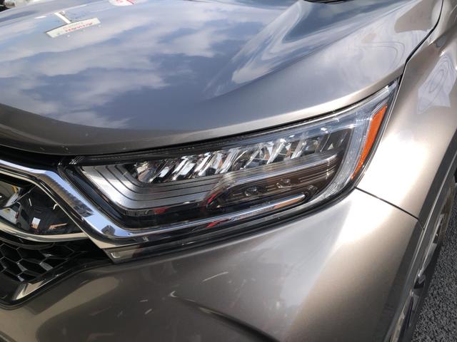 �y�w�b�h���C�g�z�铹�ȂǈÂ����𖾂邭�Ƃ炵�Ă���܂��I