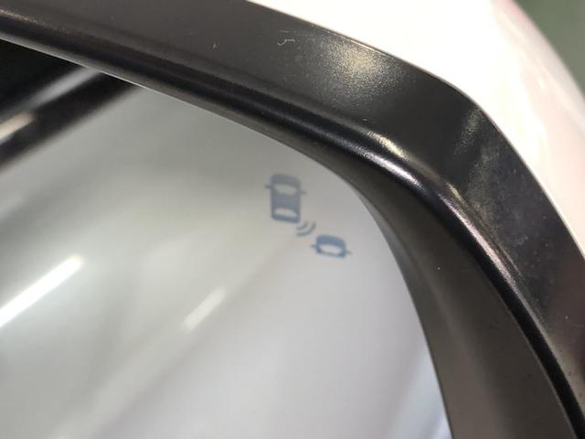 �y�u���C���h�X�|�b�g�C���t�H���[�V�����z���s���ɁA�΂ߌ��̎Ԃ����m����ƁA�h�A�~���[�̃}�[�N�_���ɂĂ��m�点���܂��B