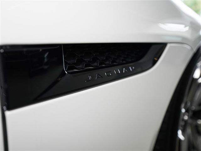 �����̃J�X�^�����{����Ă���P��ł��B