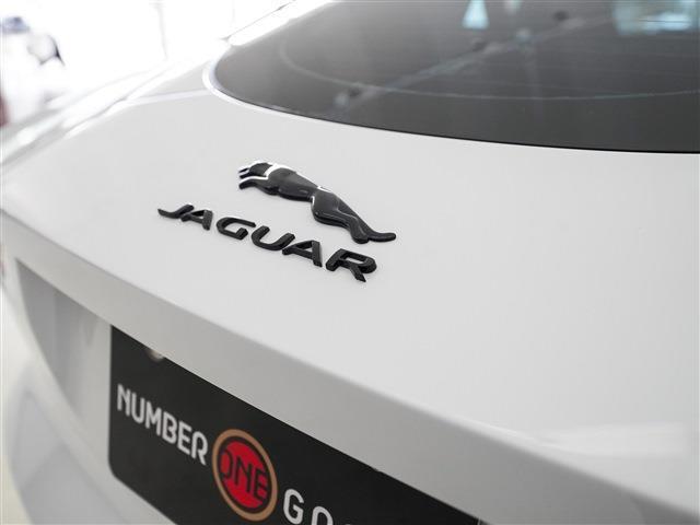 ����E�����������Ă���܂��B���C�y�ɂ����k���������B