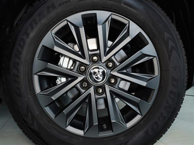 �{�i�N���J���̌n�����󂯌p���A���킩�烌�W���[�܂ŐM���ł���P��ł��B