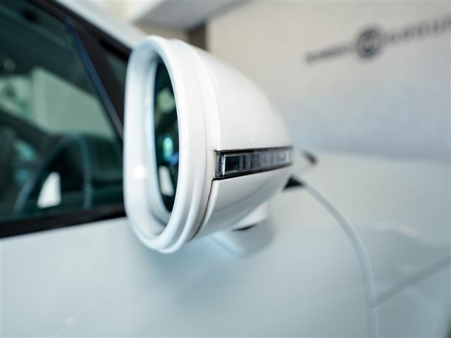 �I�v�V�����F���[���L�[�s���O�A�V�X�g�A�p���[�X�e�A�����O�v���X