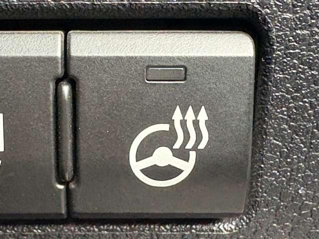 ＮＸ ３００ｈバージョンＬ　５名　１オ－ナ－禁煙／黒レザーシート／メーカーＳＤナビ＆バックカメラ／電動テール／シートヒーター＆ベンチレーション／後席電動格納／ナノイー／３眼ＬＥＤヘッドライト（22枚目）