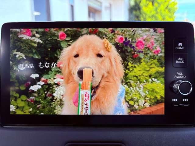 �y�s�u�z�n�f�W�s�u������ĉ��K�ȃh���C�u���y���߂܂���