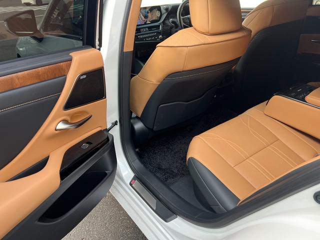 �傫�ȎC���������Ԃ̗ǂ��V�[�g�ł�