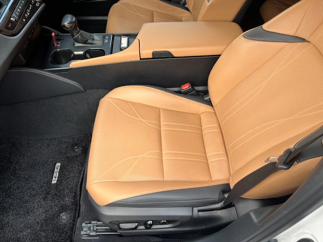 ����ȃp���[�V�[�g