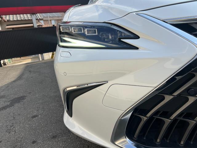 �f�C���C�g