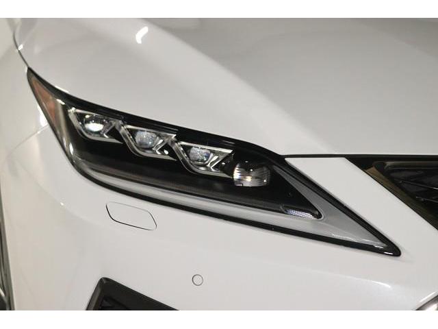 RX RX300 Fスポーツ 革シート サンルーフ フルセグ メモリーナビ DVD再生 ミュージックプレイヤー接続可 バックカメラ 衝突被害軽減システム ETC ドラレコ LEDヘッドランプ ワンオーナー 記録簿(20枚目)