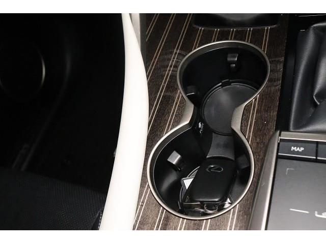 RX RX300 Fスポーツ 革シート サンルーフ フルセグ メモリーナビ DVD再生 ミュージックプレイヤー接続可 バックカメラ 衝突被害軽減システム ETC ドラレコ LEDヘッドランプ ワンオーナー 記録簿(30枚目)