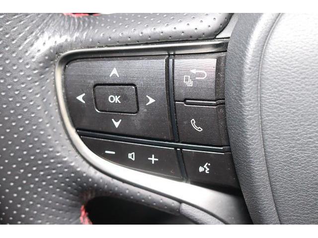 ES ES300h Fスポーツ 革シート サンルーフ フルセグ DVD再生 ミュージックプレイヤー接続可 バックカメラ 衝突被害軽減システム ETC LEDヘッドランプ ワンオーナー 記録簿(20枚目)