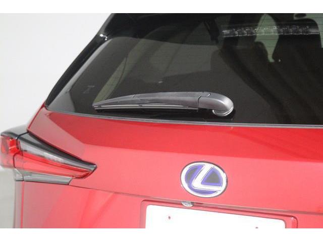 �J�V���A����̎��E�����₷�����郊�����C�p�[�B