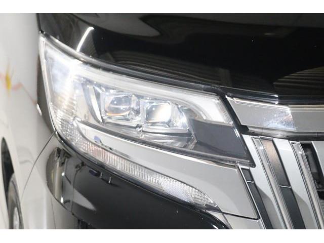 ���F�����ǂ��A�M�����������w�b�h���C�g�ł��B