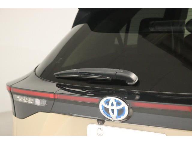 �J�V���A����̎��E�����₷�����郊�����C�p�[�B