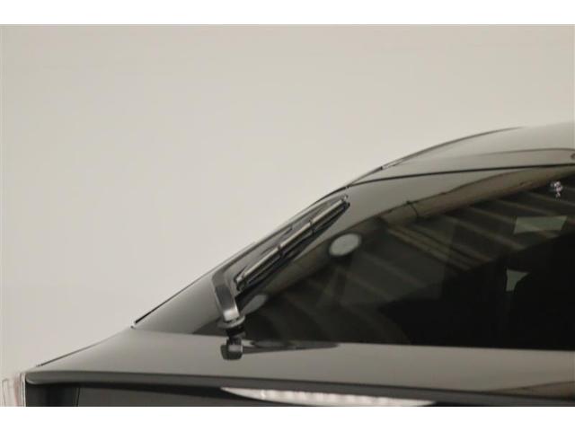 �J�V���A����̎��E�����₷�����郊�����C�p�[�B