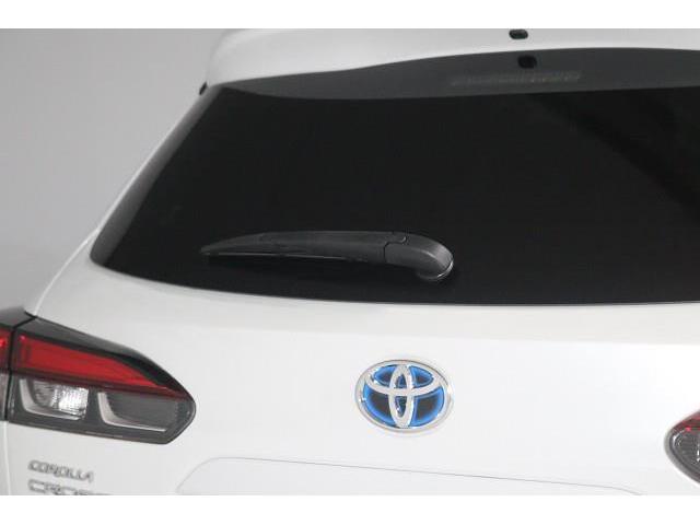 �J�V���ȂǂɁA����̎��E�����₷�����郊�����C�p�[�B