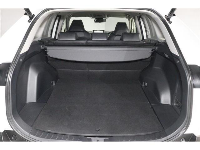 ＲＡＶ４ Ｇ　Ｚパッケージ　４ＷＤ　フルセグ　ミュージックプレイヤー接続可　バックカメラ　衝突被害軽減システム　ＥＴＣ　ＬＥＤヘッドランプ　ワンオーナー　記録簿（16枚目）