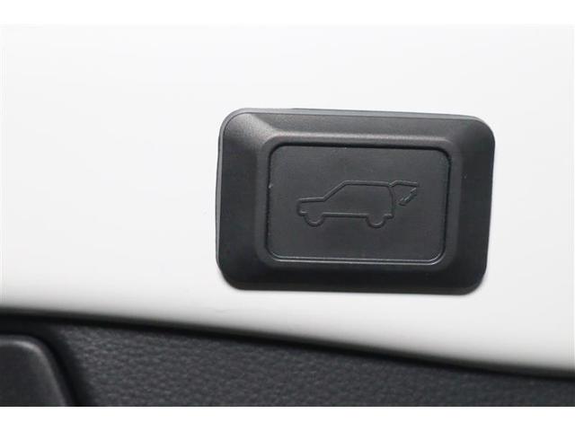 ＲＡＶ４ Ｇ　Ｚパッケージ　４ＷＤ　フルセグ　ミュージックプレイヤー接続可　バックカメラ　衝突被害軽減システム　ＥＴＣ　ＬＥＤヘッドランプ　ワンオーナー　記録簿（17枚目）