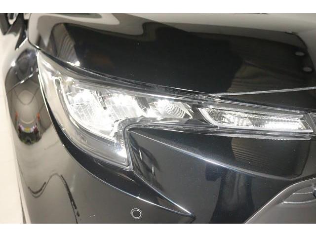 ���F�����ǂ��A�M�����������k�d�c�w�b�h���C�g�ł��B