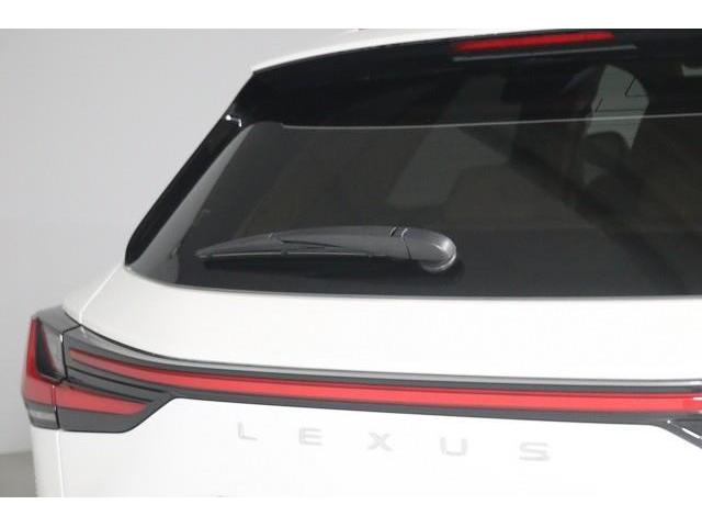 �J�V���ȂǂɁA����̎��E�����₷�����郊�����C�p�[�B