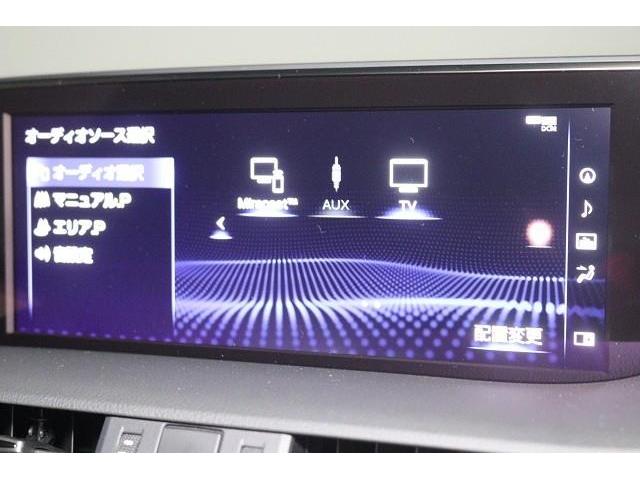 ���ʂȃI�[�f�B�I���j���[�����p�Ӂ@�i�@��ɂ��ݒ��o�^�Ȃǂ��K�v�ȏꍇ������܂��j