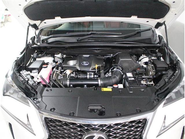 NX200t Fスポーツ フルセグ付メモリーナビ 記録簿(5枚目)