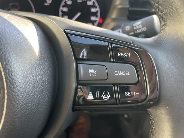 ヴェゼル ｅ：ＨＥＶＸ・ＨｕＮＴパッケージ　当社デモカー（19枚目）